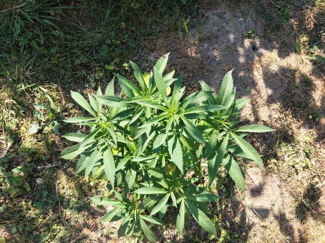 outdoor 2026. Week 1 - bakerman