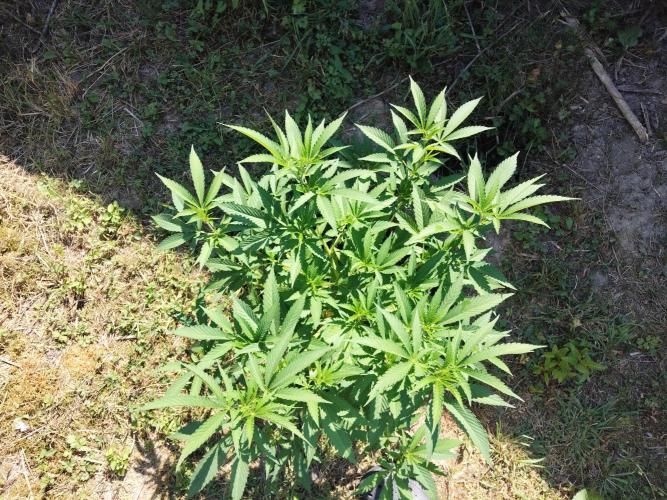 outdoor 2026. Week 1 - Super boof 