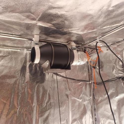 Break-up Cake AUTO 2x - beginner grow. Week 0 - Main tent vent