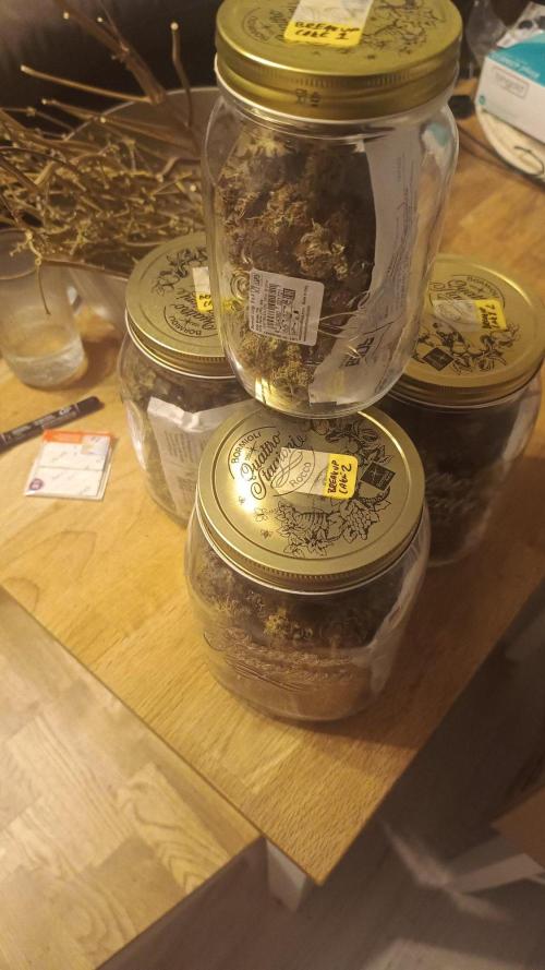 Break-up Cake AUTO 2x - beginner grow. Week 12 - All jarred up