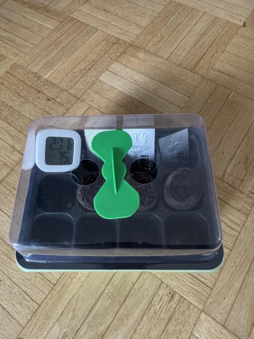 My Little Farm. Week 0