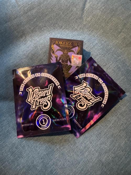 Drei Engel für Jonny. Week 0