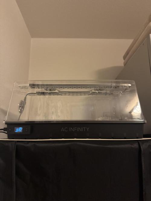 Drei Engel für Jonny. Week 0