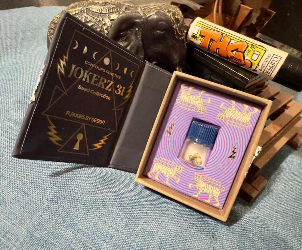 Drei Engel für Jonny. Week 0