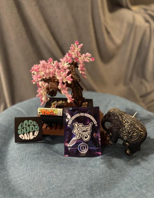 Drei Engel für Jonny. Week 0