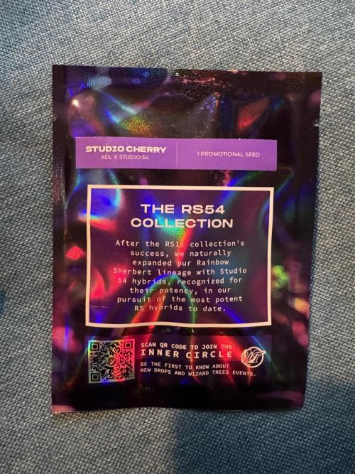 Drei Engel für Jonny. Week 0