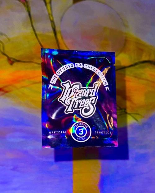 Drei Engel für Jonny. Week 0