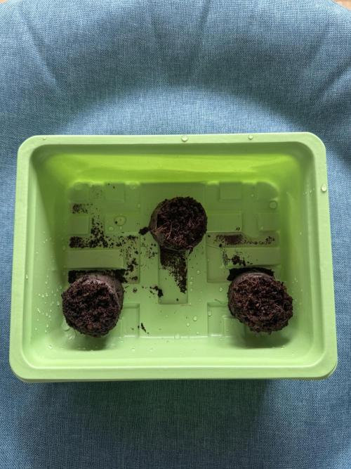 Drei Engel für Jonny. Week 0 - Es geht los 