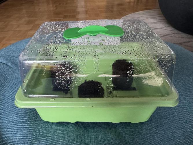 Drei Engel für Jonny. Week 0