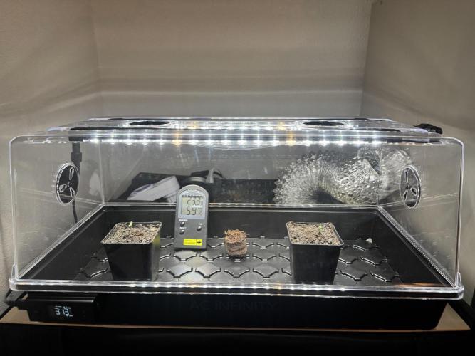 Drei Engel für Jonny. Week 1