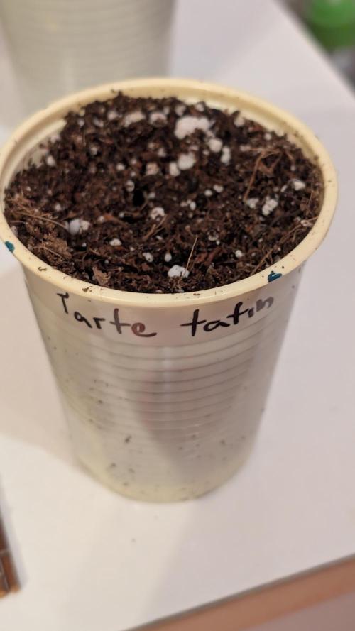 První Mušketýr Round 1.. Week 0