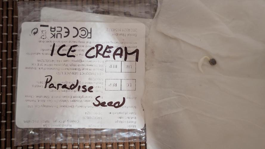 Druhý Mušketýr Round 1.. Week 0