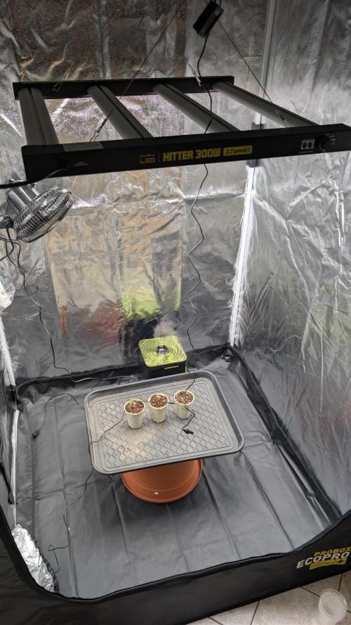 Třetí Mušketýr Round 1.. Week 1