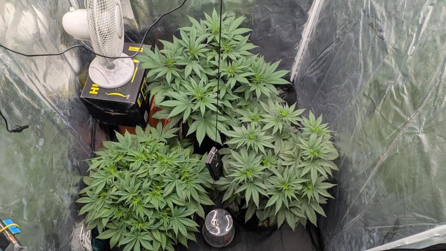 Třetí Mušketýr Round 1.. Week 7