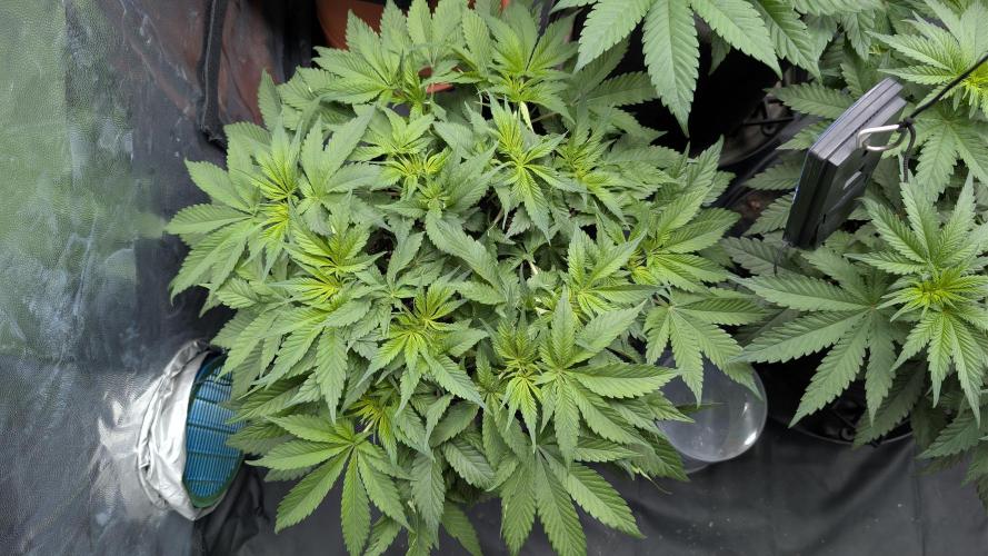 Druhý Mušketýr Round 1.. Week 7