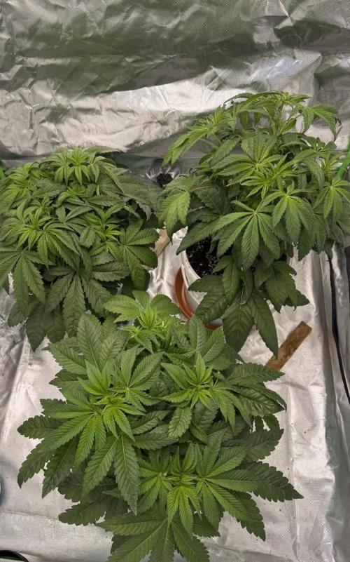 Second round. Week 6