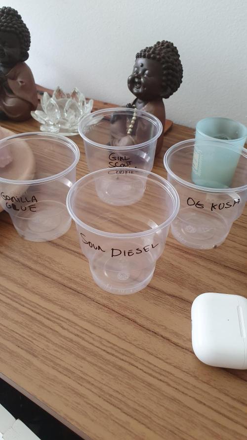 GROWER 93 BR. Week 0