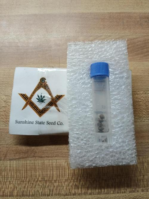 South Florida Sunshine. Week 0