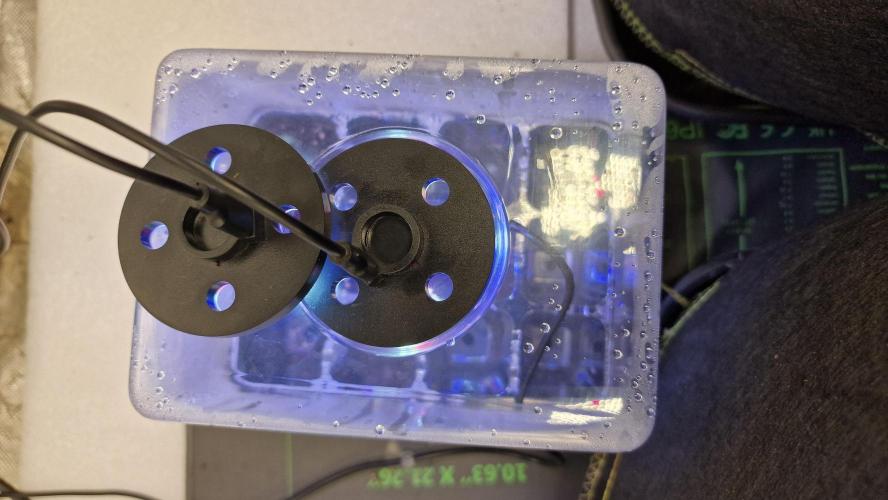 Cherry Cola Auto F3 FastBuds - @Andy497_. Week 0 - Zieltemparatur 28°C