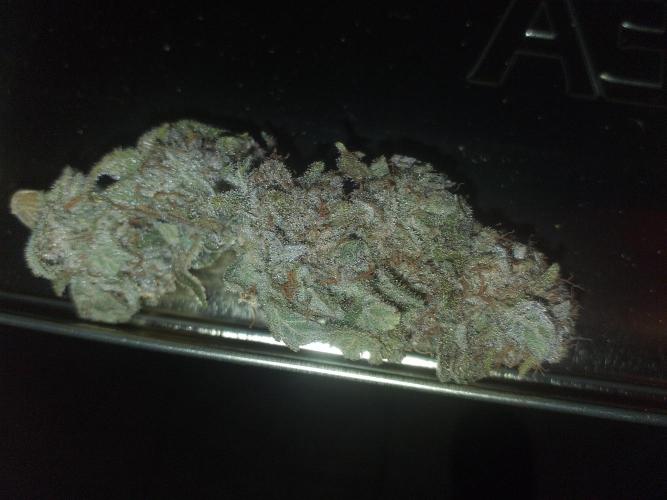Tropicana cherry. Week 16