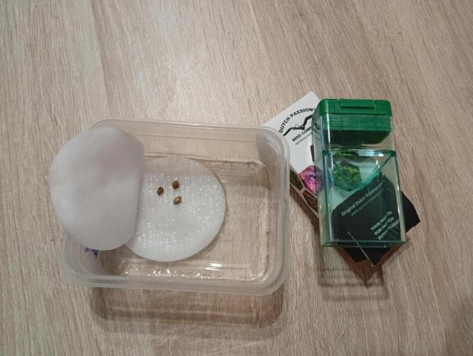 Třetí grou. Week 0