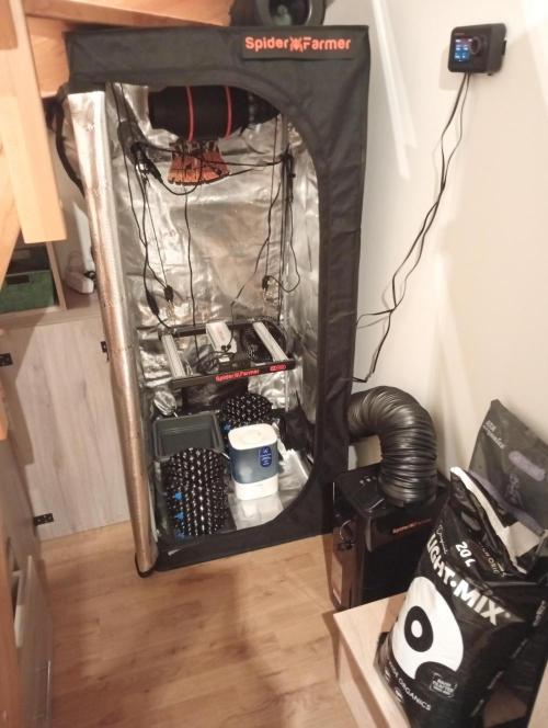 Třetí grou. Week 0