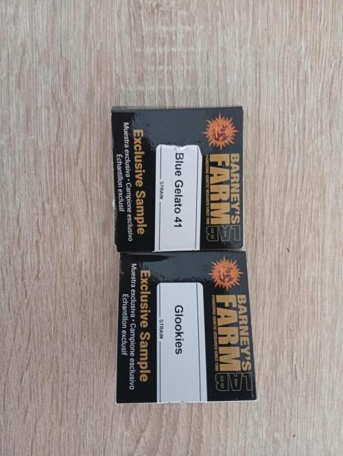 Třetí grou. Week 0