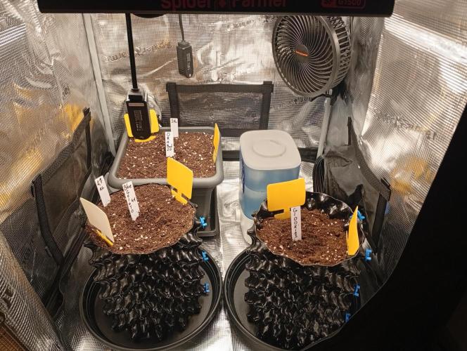 Třetí grou. Week 0