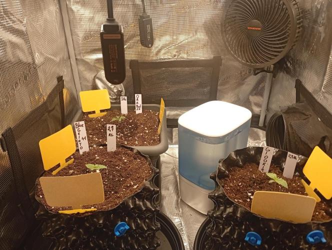 Třetí grou. Week 1