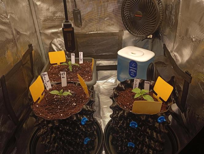 Třetí grou. Week 1 - 25.1