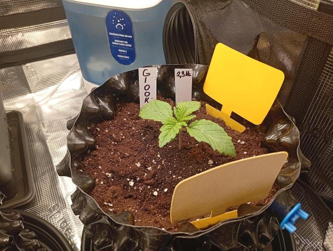 Třetí grou. Week 1 - 25.1