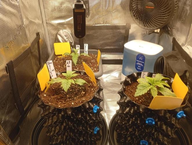 Třetí grou. Week 1 - 28.1