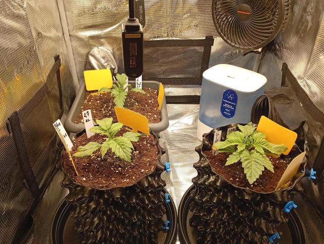 Třetí grou. Week 2