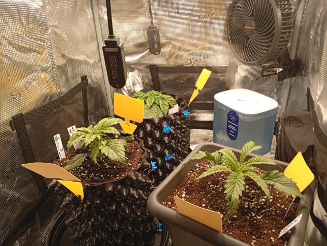 Třetí grou. Week 2 - 1.2