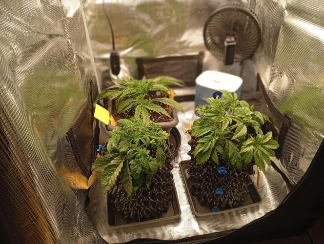 Třetí grou. Week 3 - 11.2