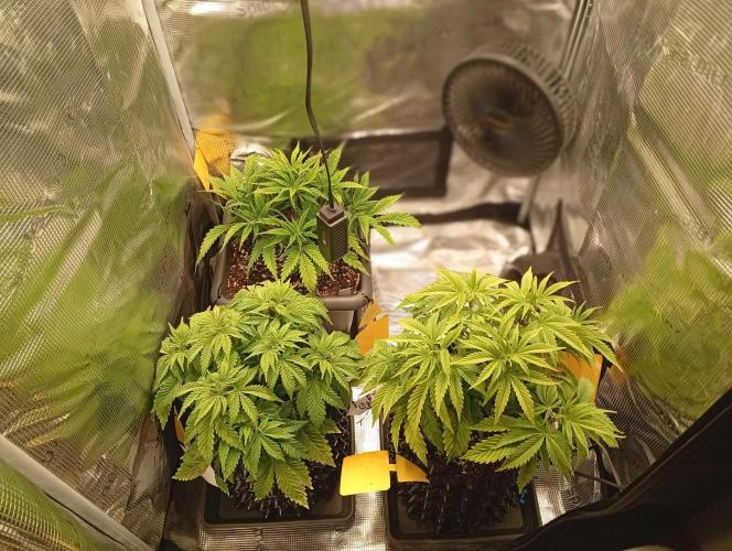 Třetí grou. Week 5 - 19.2