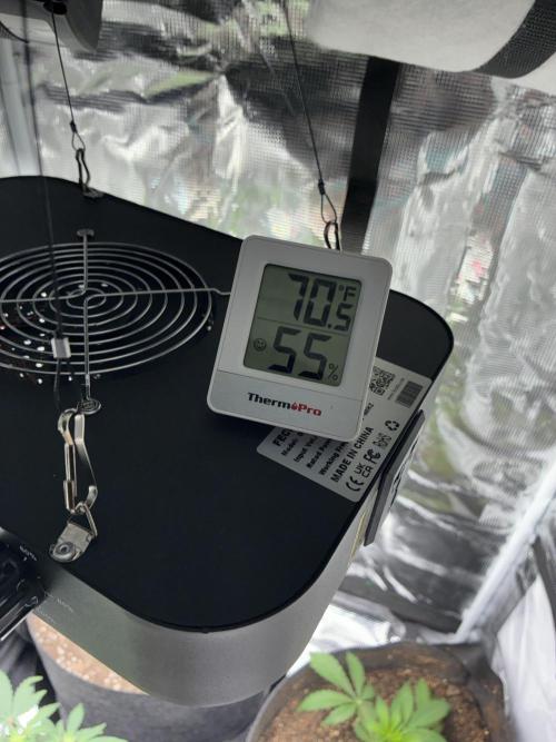 First four plants seed to harvest!. Week 11 - Good temp. Decent humidity