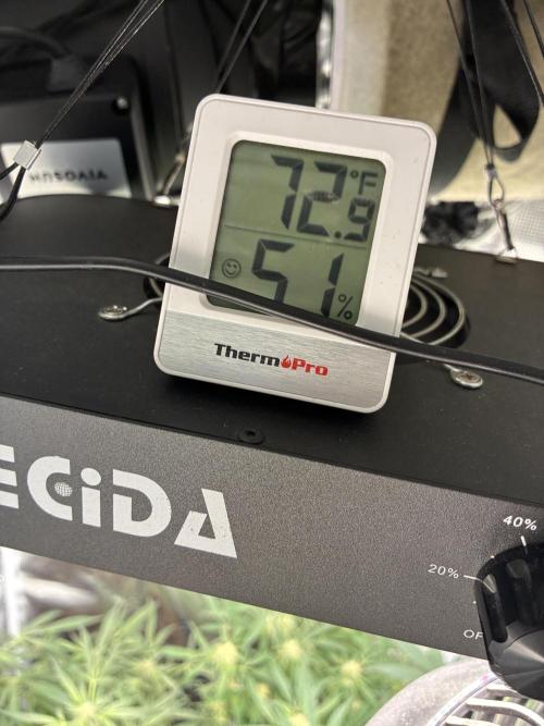 First four plants seed to harvest!. Week 11 - Good temp decent humidity