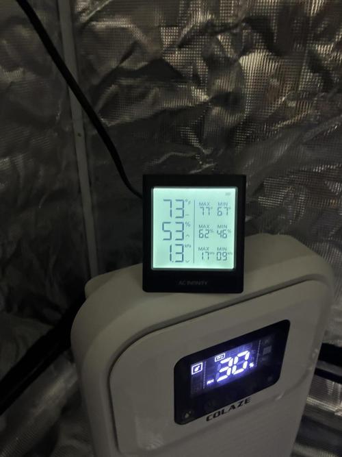 First four plants seed to harvest!. Week 12 - Trying to get temp down 