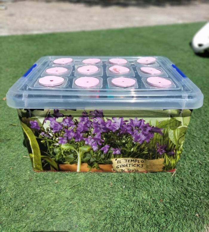 Hidroponics Black Sadow & Moon Light. Week 0