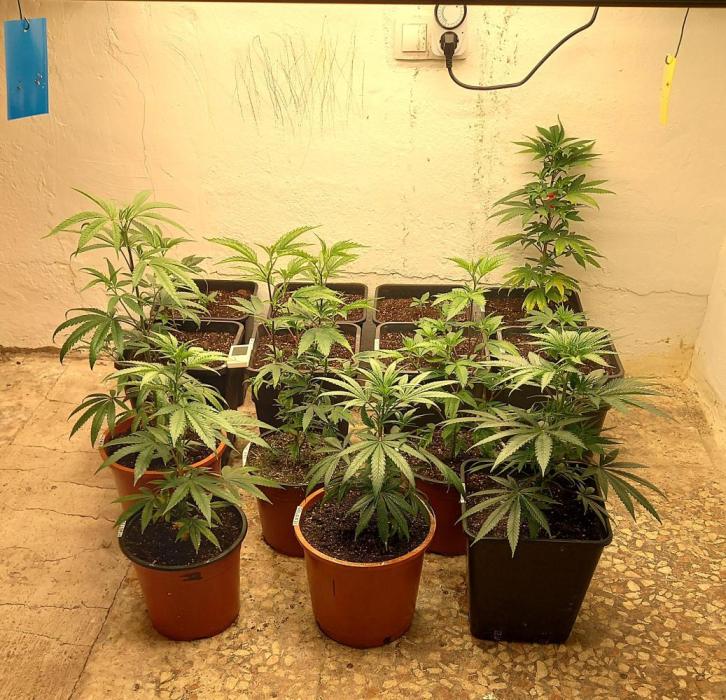 GoDi & Gelato.. Week 4