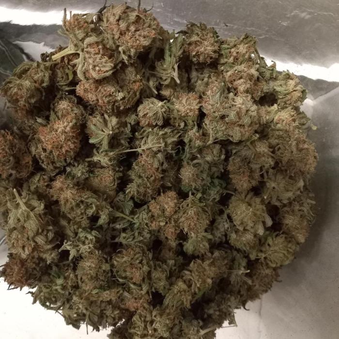 GoDi & Gelato.. Week 14