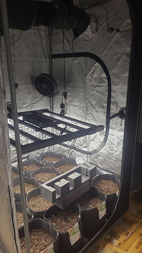 Selection from Robin hood & square one. Week 0