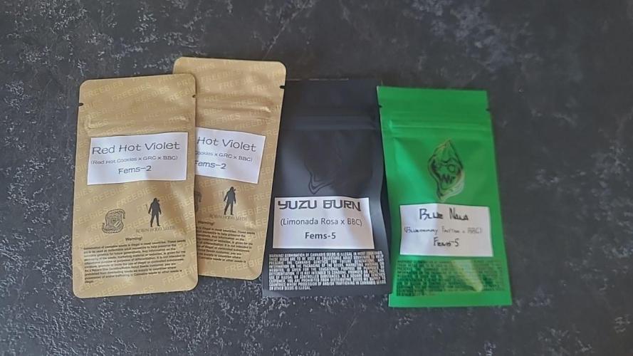 Selection from Robin hood & square one. Week 0