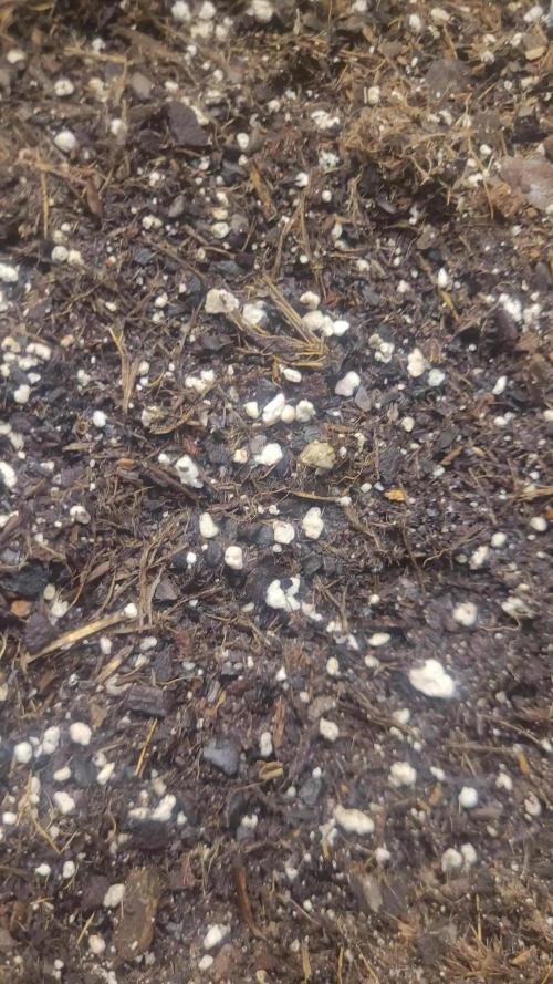 Selection from Robin hood & square one