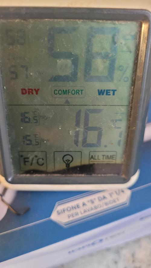 Zurple punch BX CaloZ cut. Week 11