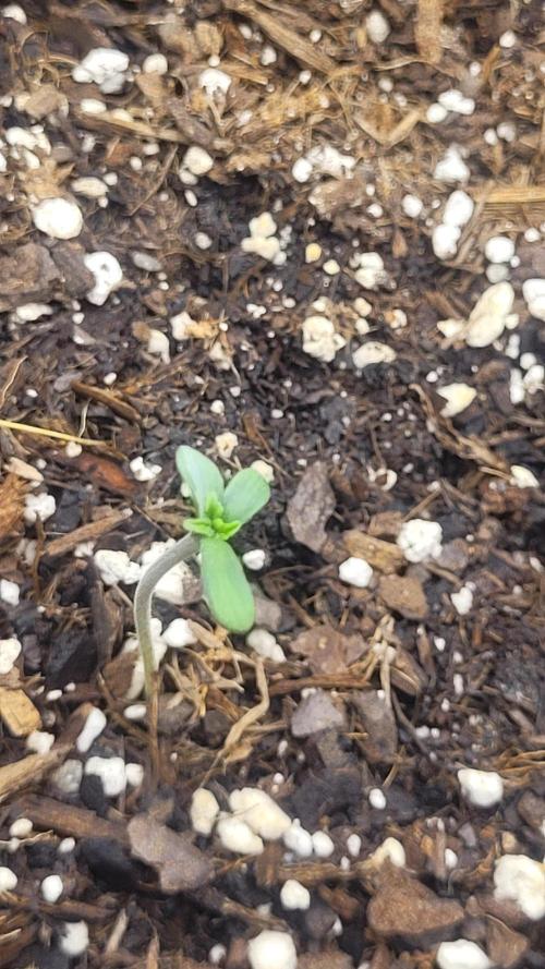 Selection from Robin hood & square one. Week 1