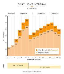 Zurple punch BX CaloZ cut. Week 12