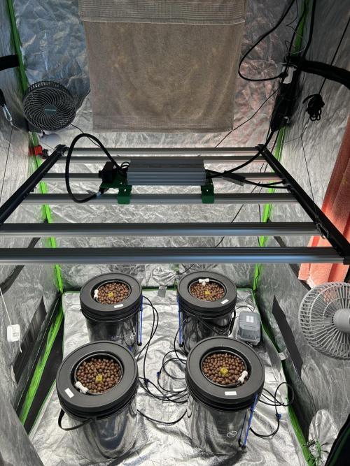 DWC/4x4/480w LED/Mephisto. Week 1