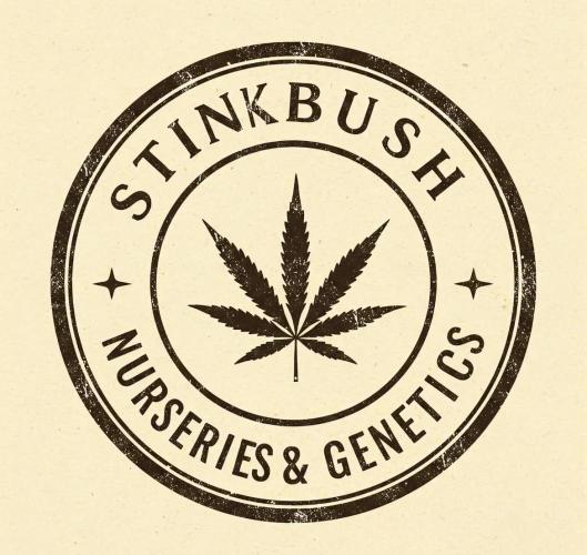 1st Grow. Week 4 - Stink Bush